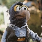 Gonzo the Great.jpg