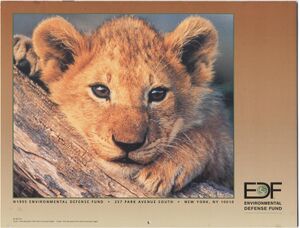1990.calendar.Wonders of Wildlife-2.jpg
