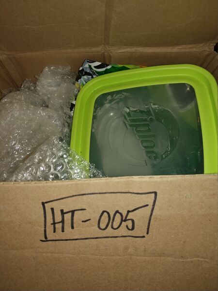 File:20250804 194217.jpg