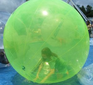 Ferret in a Green Sphere03.JPG