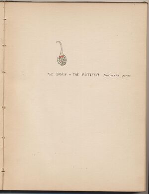 Hbk.Human Physiology and Histology-20.jpg