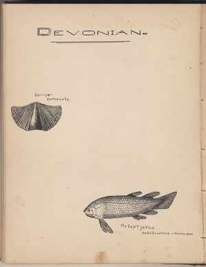 Hbk.Human Physiology and Histology-16.jpg