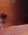 Thumbnail for version as of 22:48, 12 October 2009