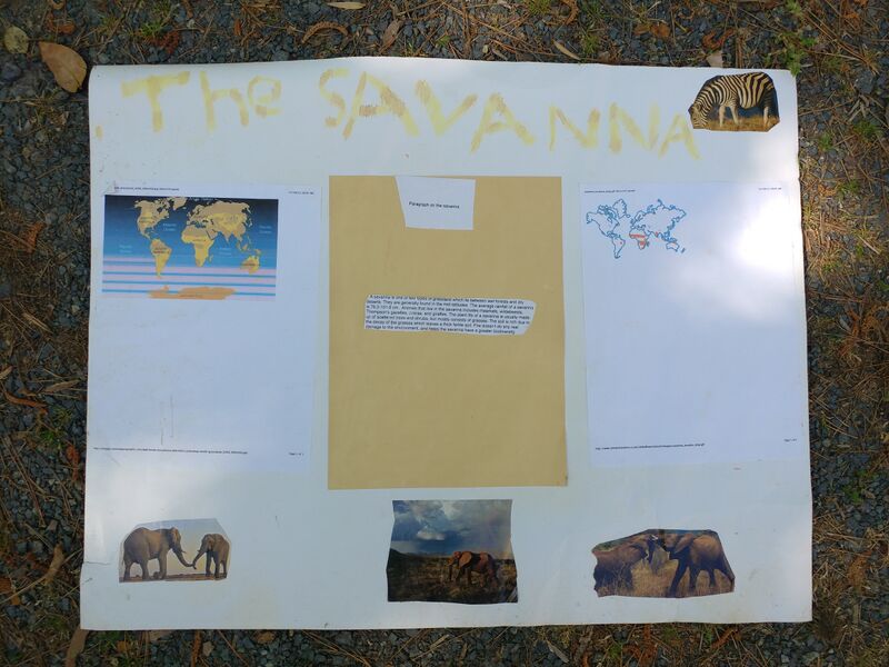 File:20250421 101415.jpg