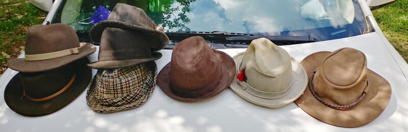 File:20250430 111902 HDR.Mel hats.crop-adj.jpg