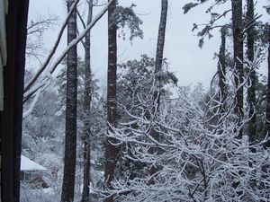 From Bathroom Window06.jpg