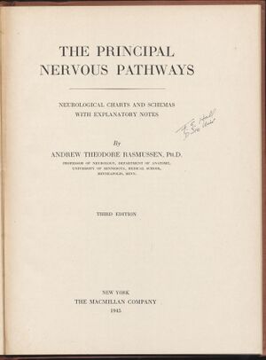 Hbk.Rasmussen.Principal Nervous Pathways-5.jpg