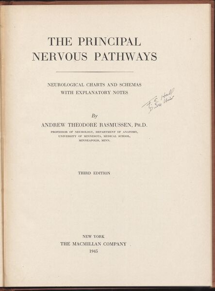 File:Hbk.Rasmussen.Principal Nervous Pathways-5.jpg