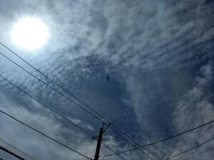 IMG 20190425 121202961 HDR.jpg