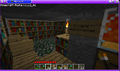 A Ferret's Library03.png