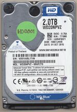 Thumbnail for File:2024-10-25.HD0001-1.jpg