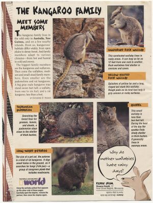 Poster.Hop Along-2.jpg