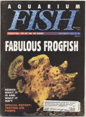 1995-11.Aquarium Fish-1.jpg