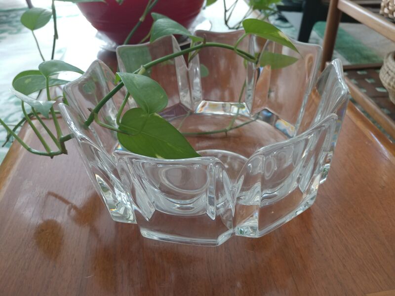 File:20250506 110938.jpg