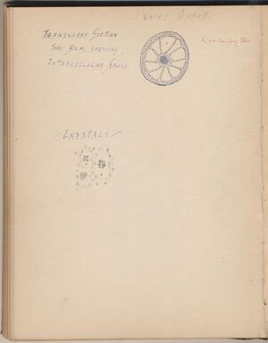 Hbk.Human Physiology and Histology-35.jpg