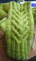 Staghorn Mitts-Right Hand.jpg