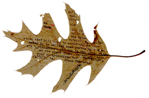 1980-10-09.W to J.010-1.adj.xp.png