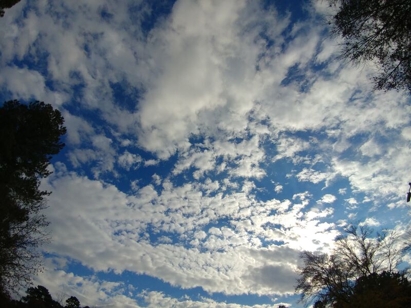 File:20251122 141310.jpg