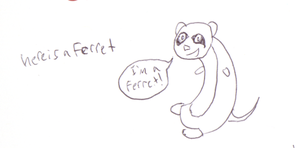 A Ferret.png