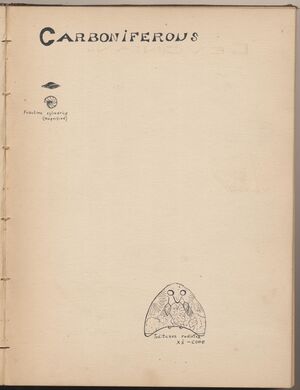 Hbk.Human Physiology and Histology-17.jpg