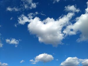 IMG 20221101 151803463.jpg