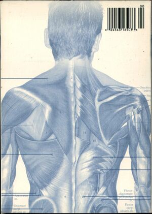 2025-04-24.Mel DVDs.Donnie Darko-3.jpg