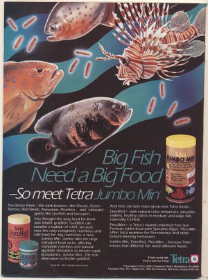 1994-08.Aquarium Fish-2.jpg