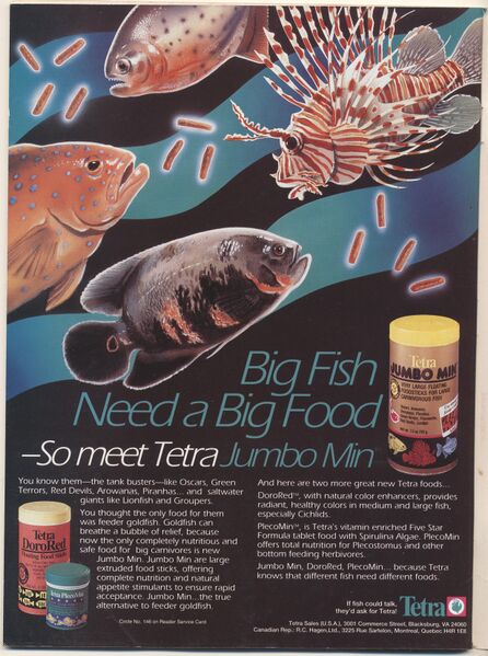 File:1994-08.Aquarium Fish-2.jpg