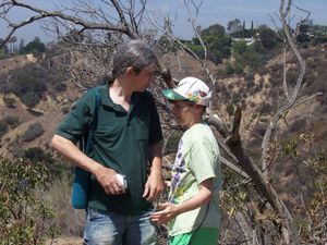 Horsing Around at the Hollywood Sign.JPG
