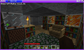 A Ferret's Library02.png