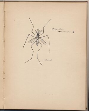 Hbk.Human Physiology and Histology-41.jpg