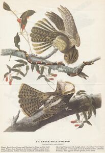 found inside Nature Atlas front cover