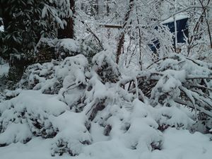 IMG 20150226 072717 401.jpg