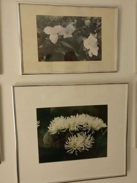 File:20250506 110745.jpg