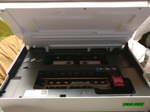 20250827 103201.PRN-007.jpg