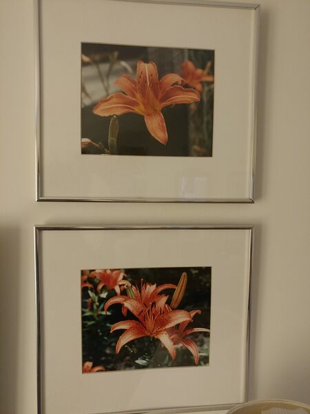 File:20250506 110751.jpg