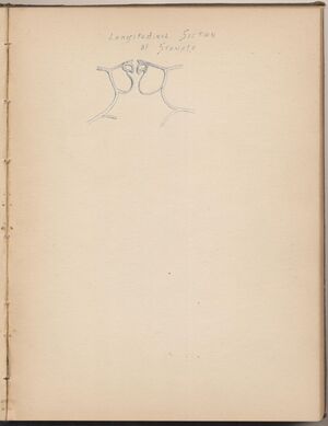 Hbk.Human Physiology and Histology-34.jpg