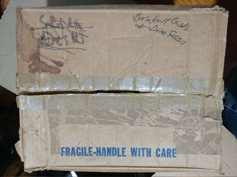 File:20250514 111128.jpg