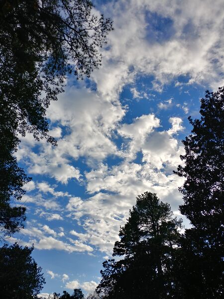 File:20251122 142624 HDR.jpg