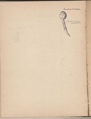 Hbk.Human Physiology and Histology-14.jpg