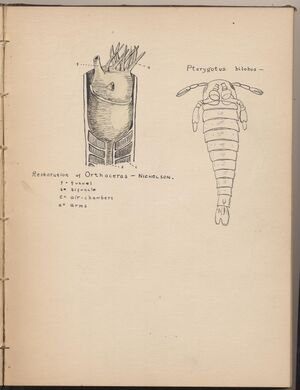 Hbk.Human Physiology and Histology-15.jpg