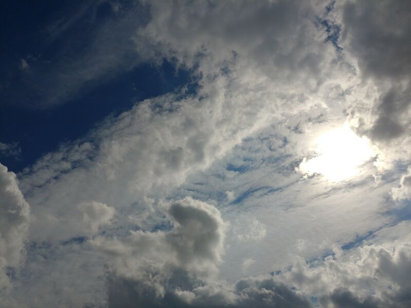 File:20230216 131333.jpg