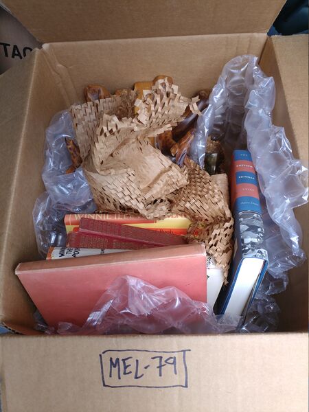 File:20250609 143031.jpg