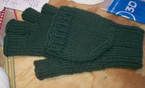 Convertible Glove Laid Flat.jpg