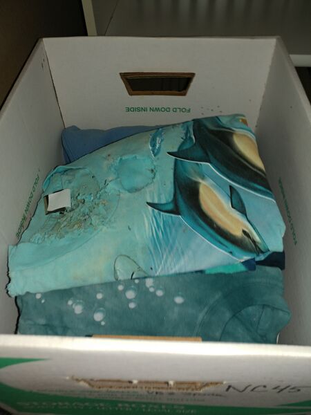 File:20250625 135028.jpg