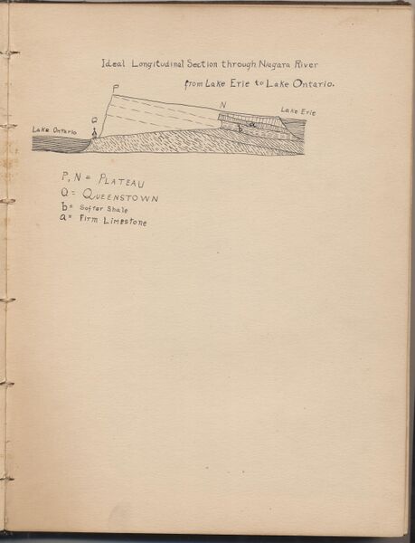 File:Hbk.Human Physiology and Histology-06.jpg