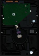 Thumbnail for File:2025-08-19.HD-0002-2.jpg