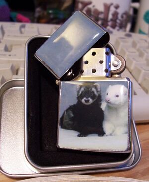 Ferret Lighter.jpg