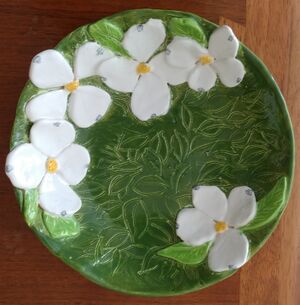 20250506 110857.dogwood bowl.crop.jpg