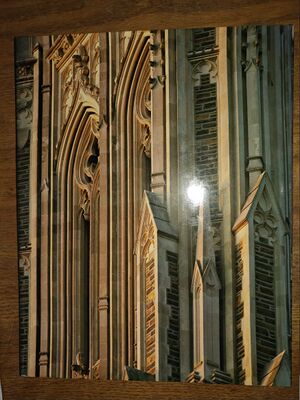 20250924 111253.HBK-00012.jpg